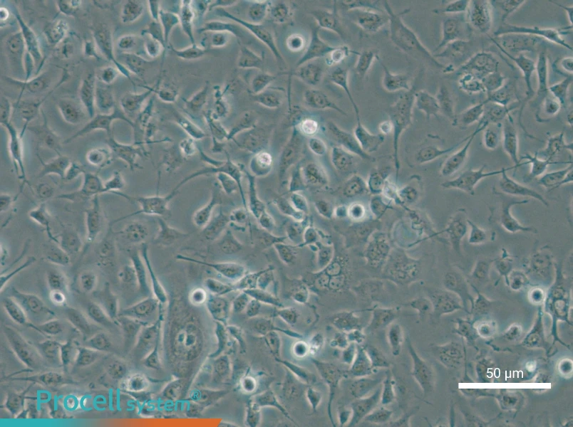 HBE135-E6E7 - 4