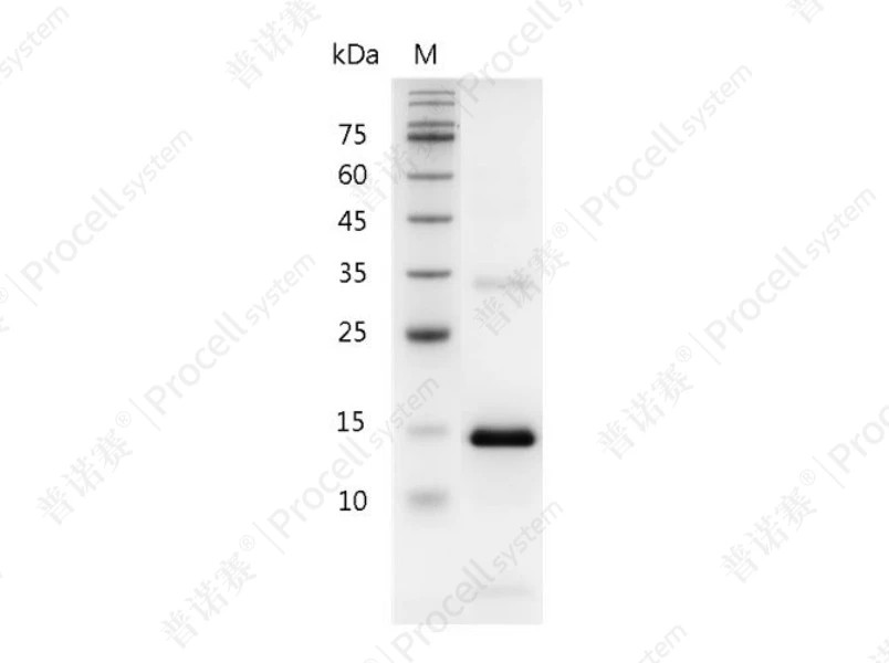 https://789.bio/ec/uLOKKC