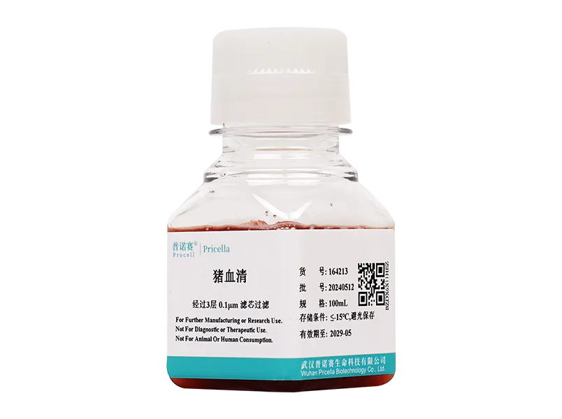 https://789.bio/ec/uLR84R