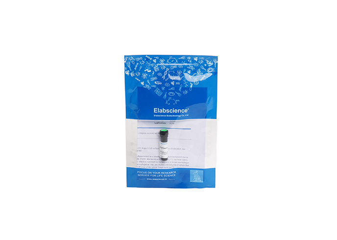 SMCC Activated Peroxidase (HRP)