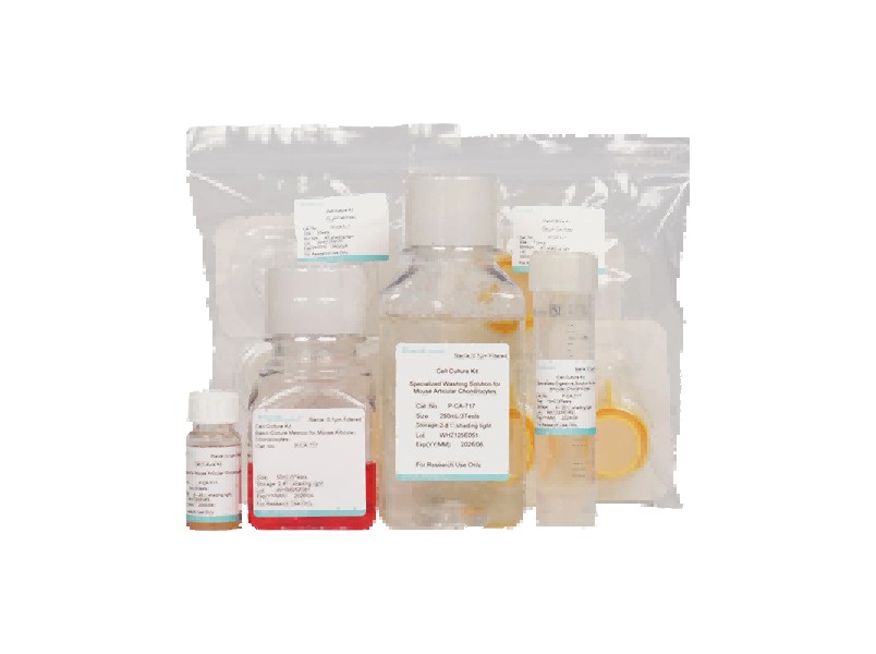 Mouse Articular Chondrocyte Isolation and Culture Kit