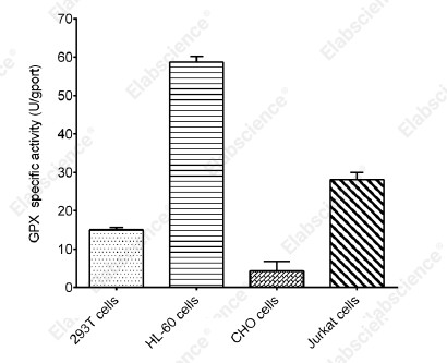 Cell Glutathione Peroxidase (GPX) Activity Assay Kit - 1