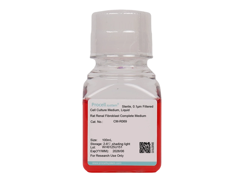 Rat Renal Fibroblast Complete Medium