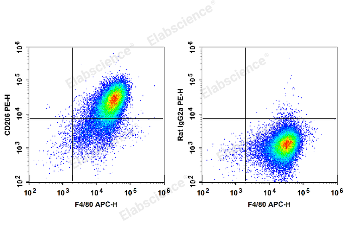 PE Anti-Mouse CD206/MMR Antibody[C068C2]-1