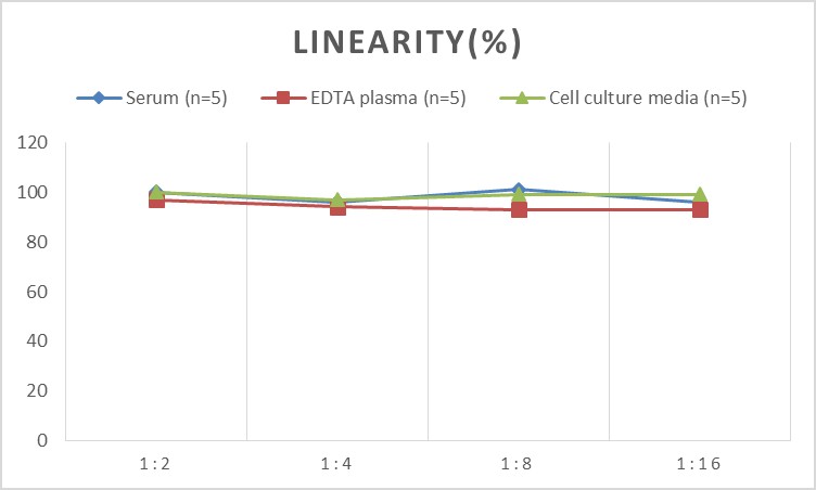 Human Flt3L(FMS-like Tyrosine Kinase 3 Ligand) ELISA Kit-产品推荐-1