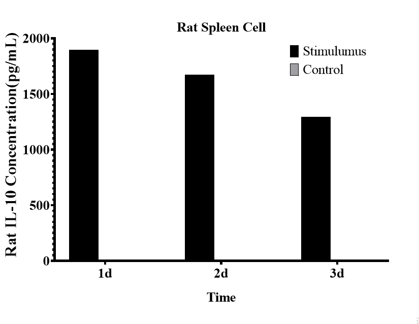 CellaQuant™ Rat IL-10 (Interleukin 10) ELISA Kit - 3