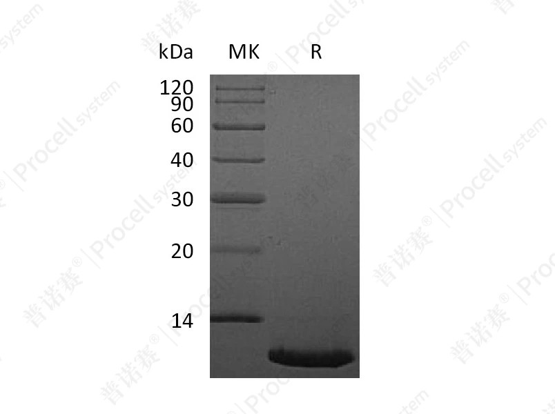 https://789.bio/ec/uaWaiH