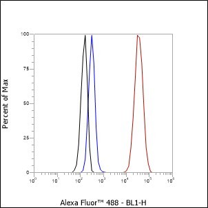 Recombinant GPNMB Monoclonal Antibody - small - 4