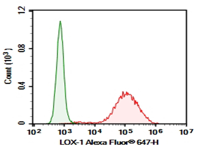 Purified Anti-Human LOX-1 Antibody[15C4]-1