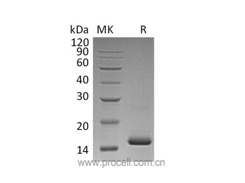 https://789.bio/ec/ueW5KR