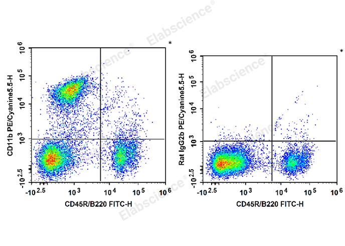 C57BL/6 murine bone marrow cells are stained with FITC Anti-Mouse CD45R/B220 Antibody and PE/Cyanine5.5 Anti-Mouse/Human CD11b Antibody (Left). Bone marrow cells are stained with FITC Anti-Mouse CD45R/B220 Antibody and PE/Cyanine5.5 Rat IgG2b, κ Isotype Control (Right).