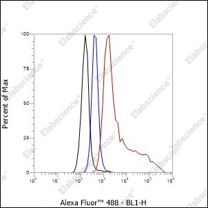 Recombinant S100A8 Monoclonal Antibody - 5