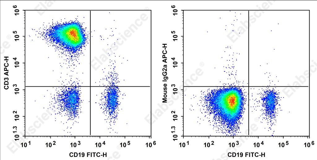 APC Anti-Human CD3 Antibody[HIT3a] - 1