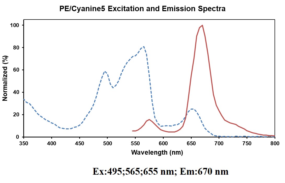 PE/Cyanine5 Anti-Mouse CD272 Antibody[6F7]