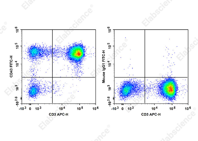 FITC Anti-Human CD43 Antibody[HI161]-1