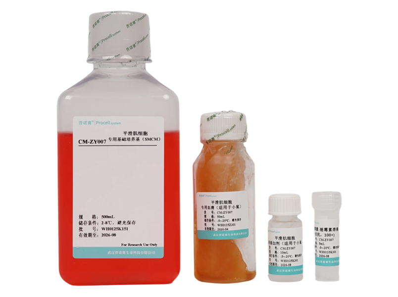 Smooth Muscle Cell Medium-Mouse (SMCM-m)-searchlist-1