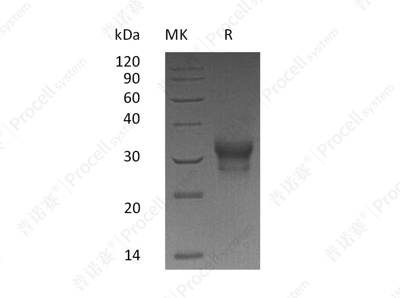 https://789.bio/ec/ume5KO