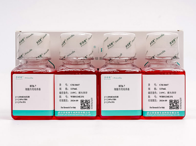 https://789.bio/ec/uq1CZL