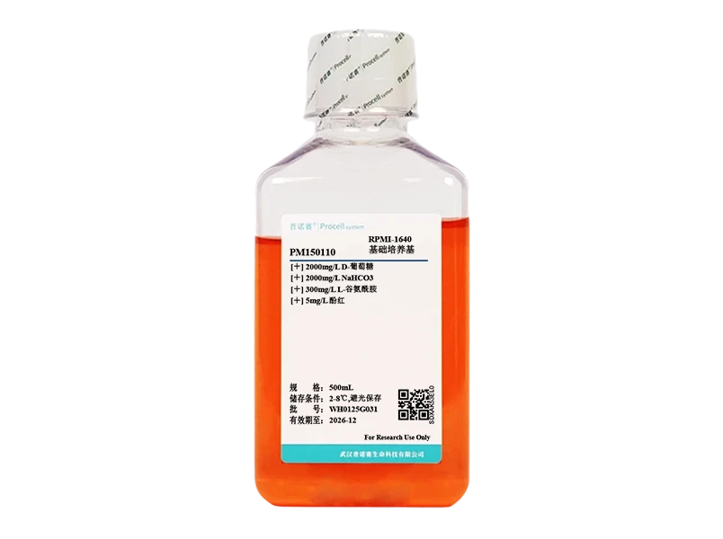https://789.bio/ec/usm77F9Q