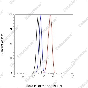 Recombinant CD239/BCAM Monoclonal Antibody - 3