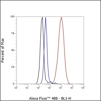 Recombinant CD13 Monoclonal Antibody - small - 8