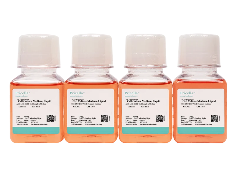 AGS-LUC-EGFP Cell Complete Medium-searchlist-1