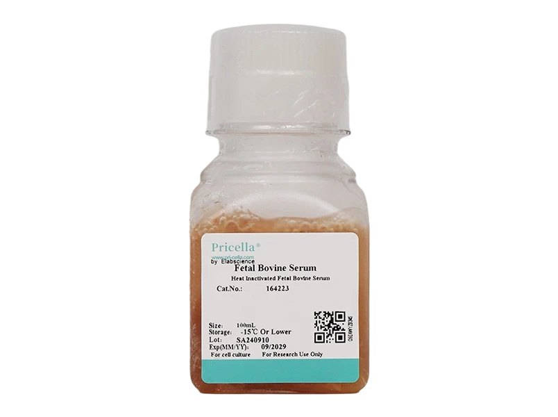 Heat Inactivated Fetal Bovine Serum
