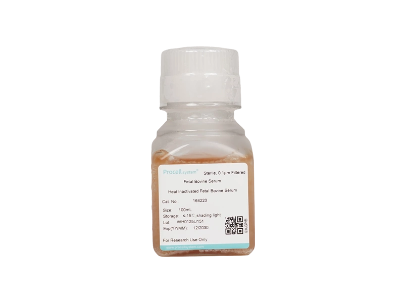 Heat Inactivated Fetal Bovine Serum