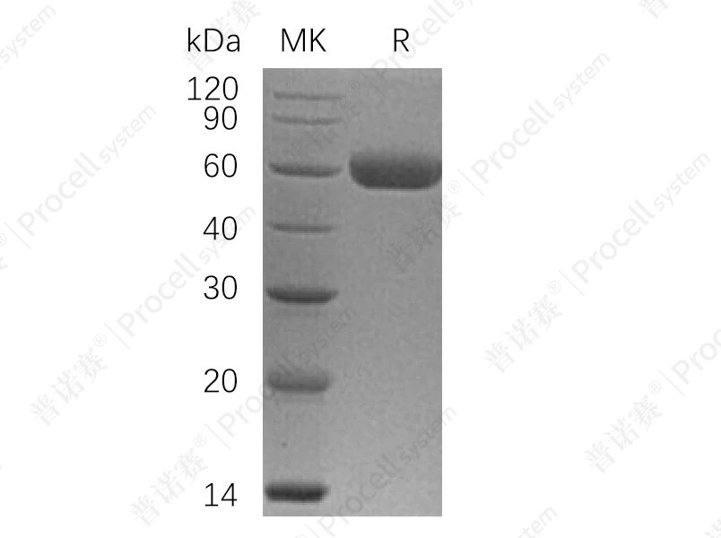 https://789.bio/ec/uum988