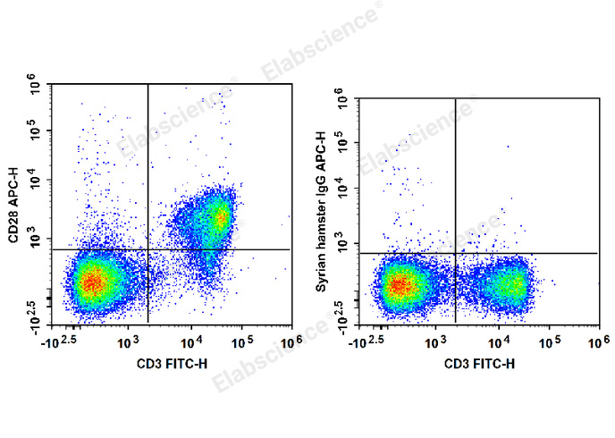 C57BL/6 murine splenocytes are stained with FITC Anti-Mouse CD3 Antibody and APC Anti-Mouse CD28 Antibody (Left). Splenocytes are stained with FITC Anti-Mouse CD3 Antibody and APC Syrian Hamster IgG Isotype Control (Right).