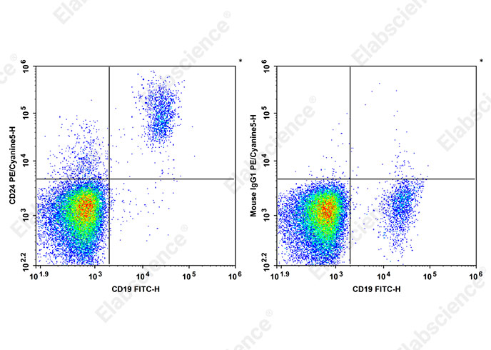 PE/Cyanine 5 Anti-Human CD24 Antibody[HIQB24]-1