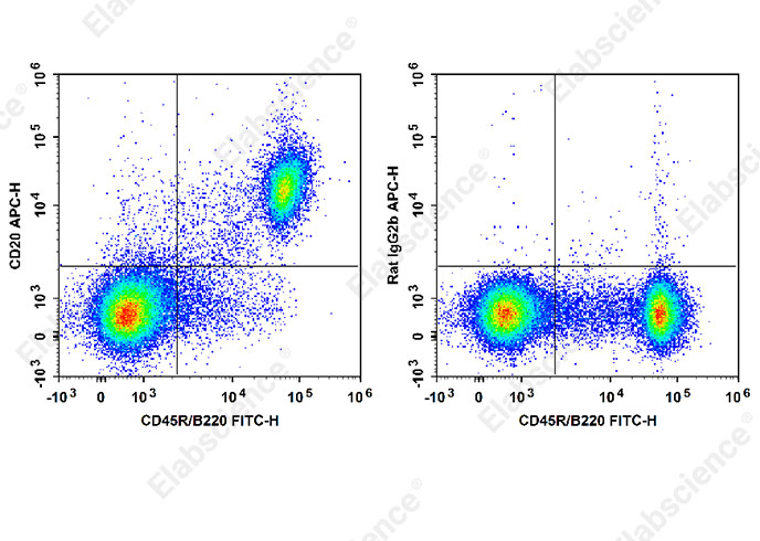 APC Anti-Mouse CD20 Antibody[SA271G2]-1