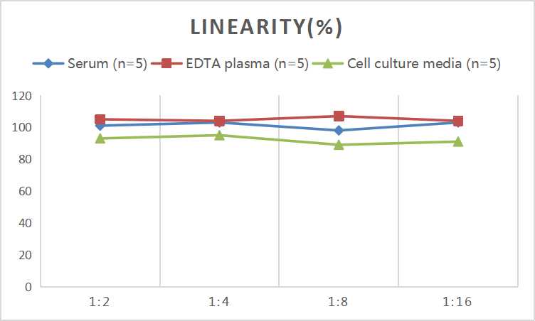 Mini Sample Rat CX3CL1 (Chemokine C-X3-C-Motif Ligand 1) ELISA Kit - small - 2