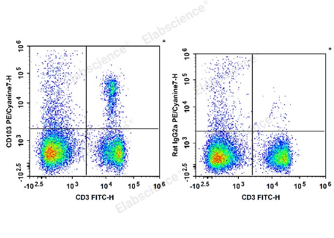 C57BL/6 murine splenocytes are stained with FITC Anti-Mouse CD3 Antibody and PE/Cyanine7 Anti-Mouse CD103 Antibody (Left). Splenocytes are stained with FITC Anti-Mouse CD3 Antibody and PE/Cyanine7 Rat IgG2a, κ Isotype Control (Right).