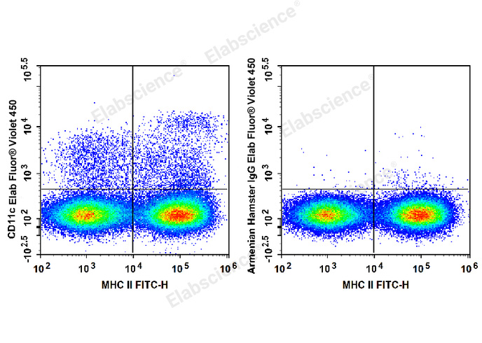 C57BL/6 murine splenocytes are stained with FITC Anti-Mouse MHC II Antibody and Elab Fluor® Violet 450 Anti-Mouse CD11c Antibody (Left). Splenocytes are stained with FITC Anti-Mouse MHC II Antibody and Elab Fluor® Violet 450 Armenian Hamster IgG Isotype Control (Right).