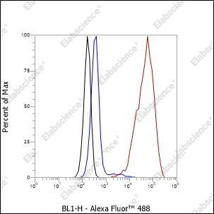 Recombinant Calpastatin Monoclonal Antibody - 4