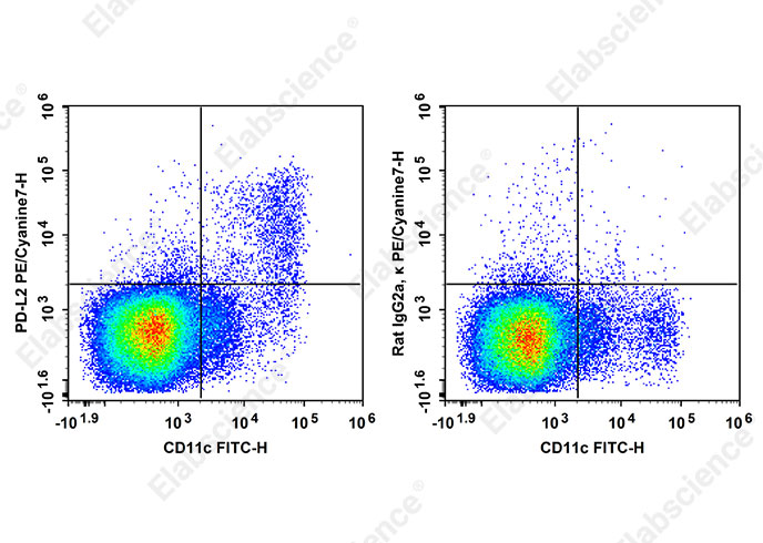 PE/Cyanine7 Anti-Mouse PD-L2 Antibody[TY25]-searchlist-1