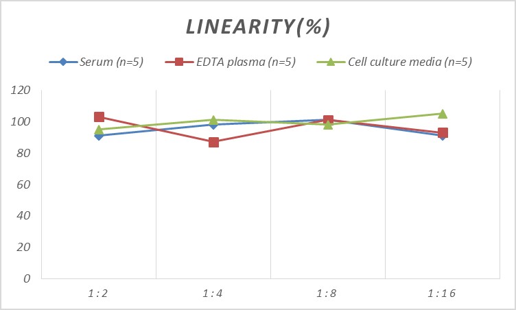 Mini Sample Mouse KIM-1 (Kidney Injury Molecule 1) ELISA Kit-产品推荐-1