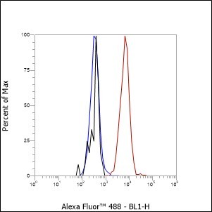 Recombinant CD50/ICAM3 Monoclonal Antibody - small - 5