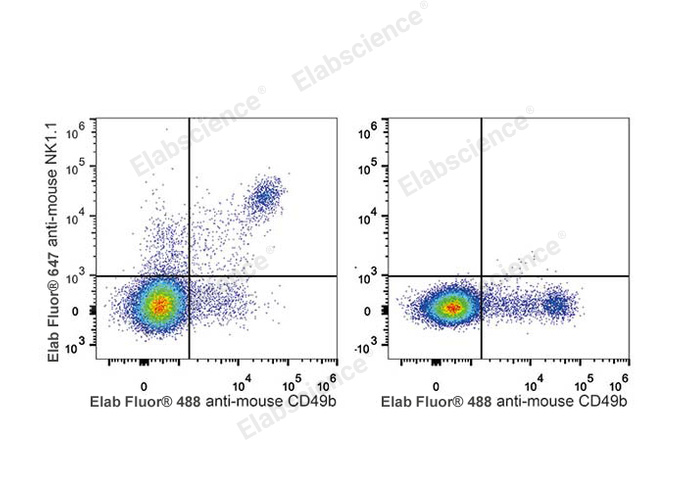 C57BL/6 murine splenocytes are stained with Elab Fluor® 647 Anti-Mouse CD161/NK1.1 Antibody and Elab Fluor® 488 Anti-Mouse CD49b Antibody (Left). Splenocytes stained with Elab Fluor® 488 Anti-Mouse CD49b Antibody (Right) are used as control.