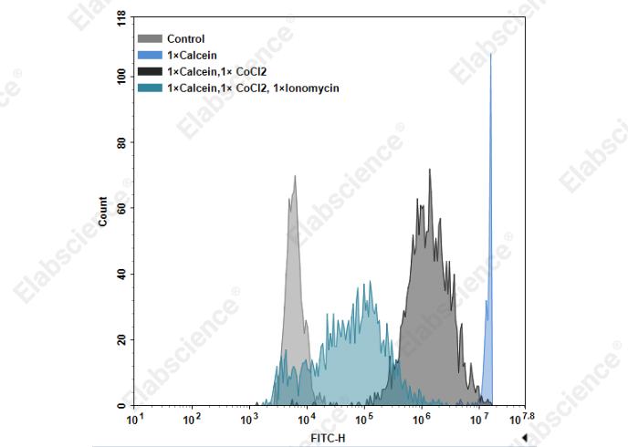 Mitochondrial Permeability Transition Pore (mPTP) Fluorometric Assay Kit - 1