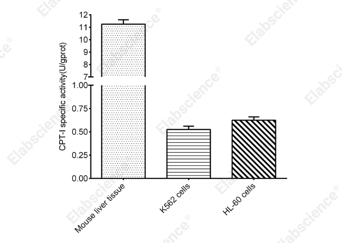 Carnitine Palmitoyl Transferase-I (CPT-I) Activity Colorimetric Assay Kit - 1
