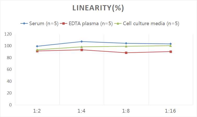 Human TNF-α(Tumor Necrosis Factor Alpha) ELISA Kit-1