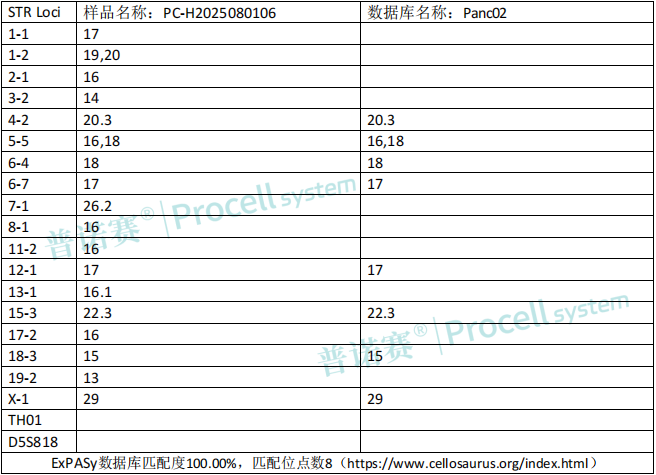photo1