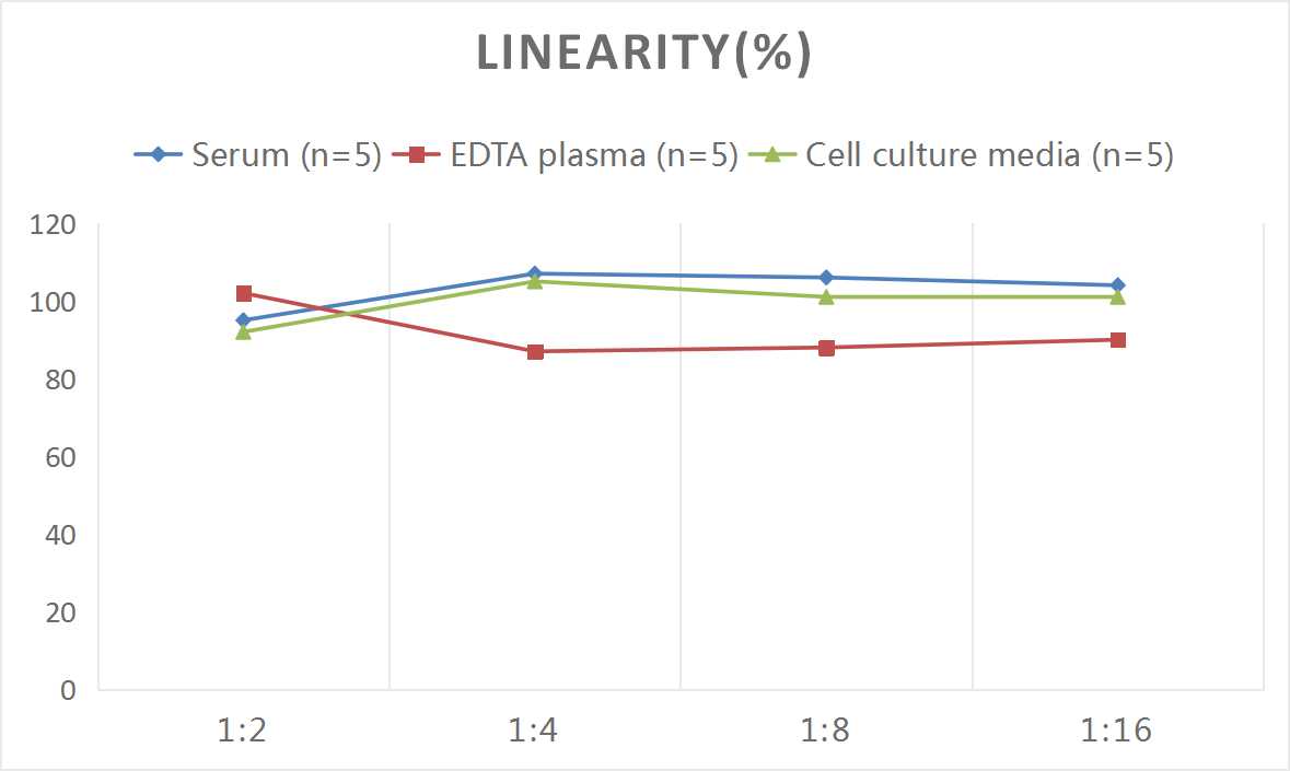 Human VEGF-A(Vascular Endothelial Cell Growth Factor A) ELISA Kit-产品推荐-2