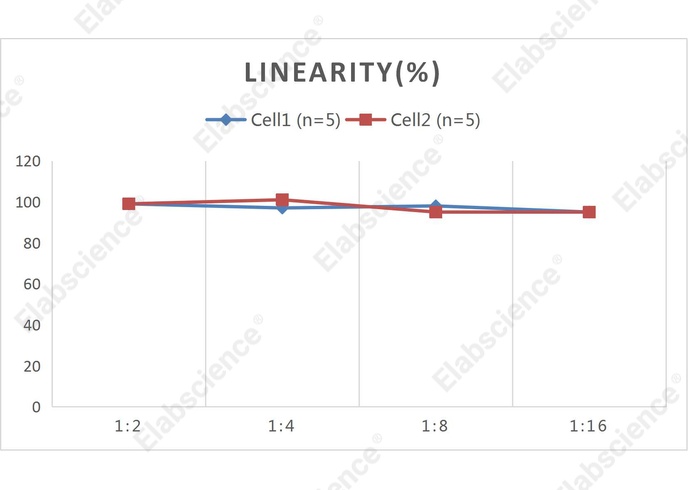 CellaQuant™ Human IL-1β (Interleukin 1 Beta) ELISA Kit - 2