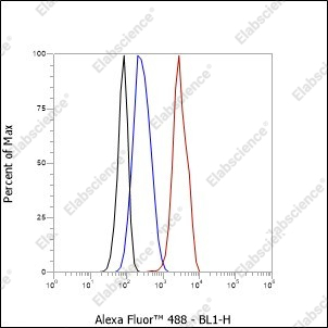 Recombinant Cdc27 Monoclonal Antibody - 5