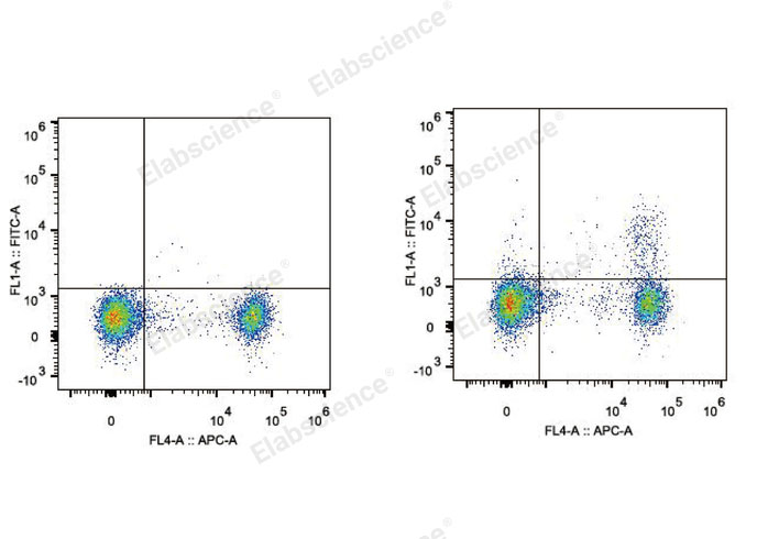 C57BL/6 murine splenocytes are stained with Elab Fluor® 488 Anti-Mouse CD25 Antibody and APC Anti-Mouse CD4 Antibody (Right). Splenocytes stained with APC Anti-Mouse CD4 Antibody (Left) are used as control.