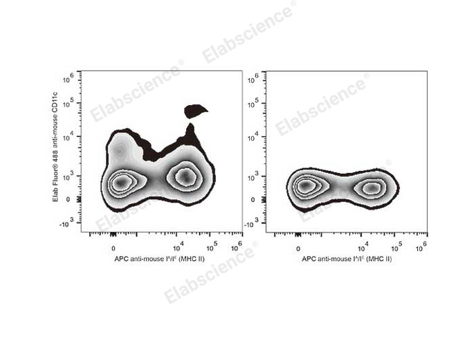 C57BL/6 murine splenocytes are stained with Elab Fluor® 488 Anti-Mouse CD11c Antibody and APC Anti-Mouse MHC II (I-A/I-E) Antibody (Left). Splenocytes stained with APC Anti-Mouse MHC II (I-A/I-E) Antibody (Right) are used as control.