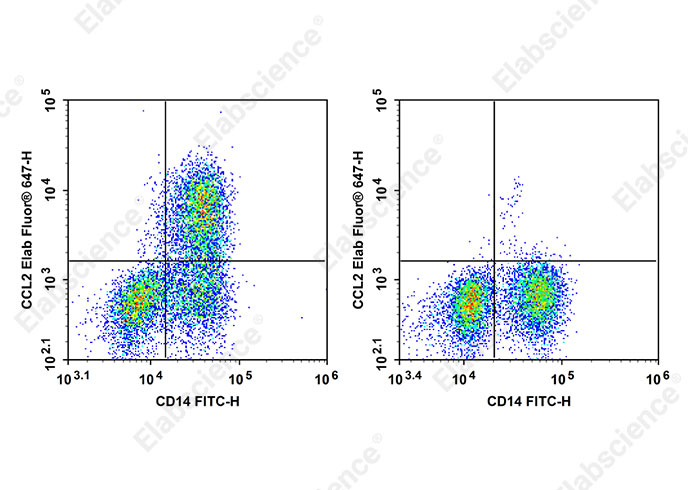 Elab Fluor<sup>®</sup> 647 Anti-Human CCL2 Antibody[2H5]-searchlist-1